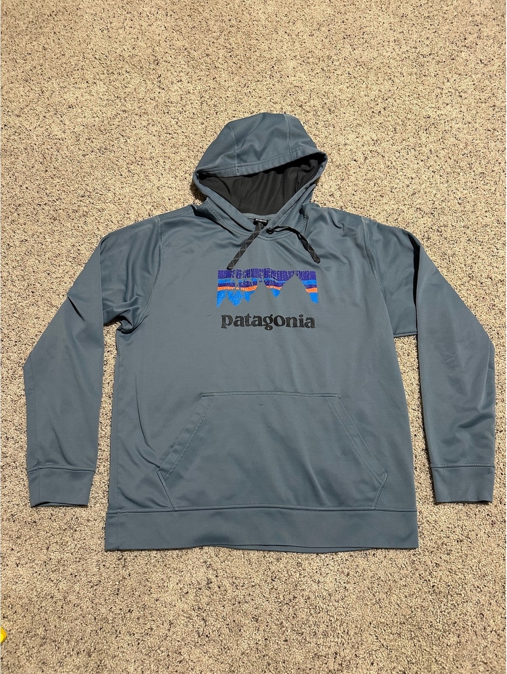 Patagonia Men's Hoodie Pullover Size L Blue with Logo